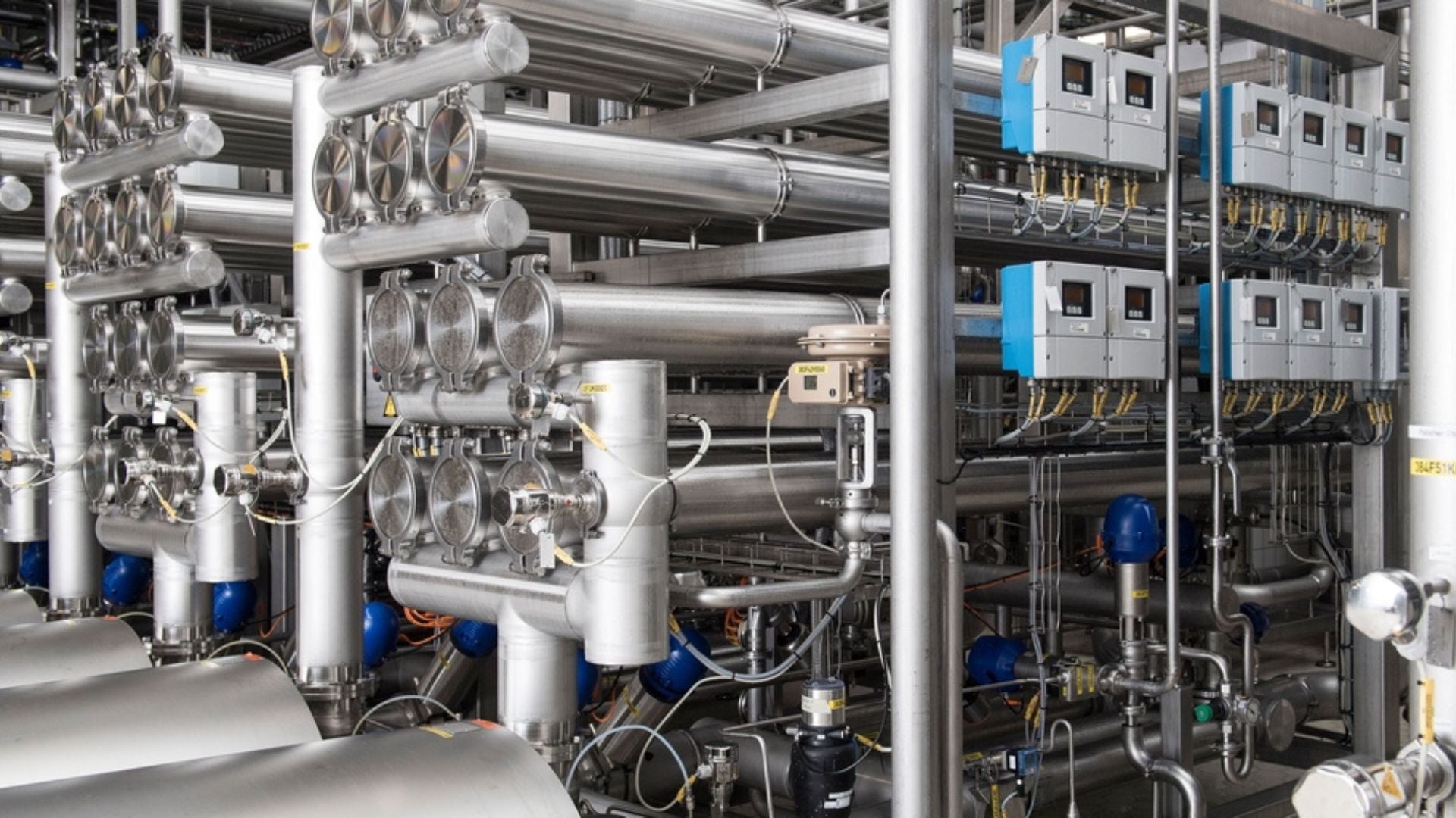 Protein Isolat oder Hydrolysat – braucht’s das wirklich?