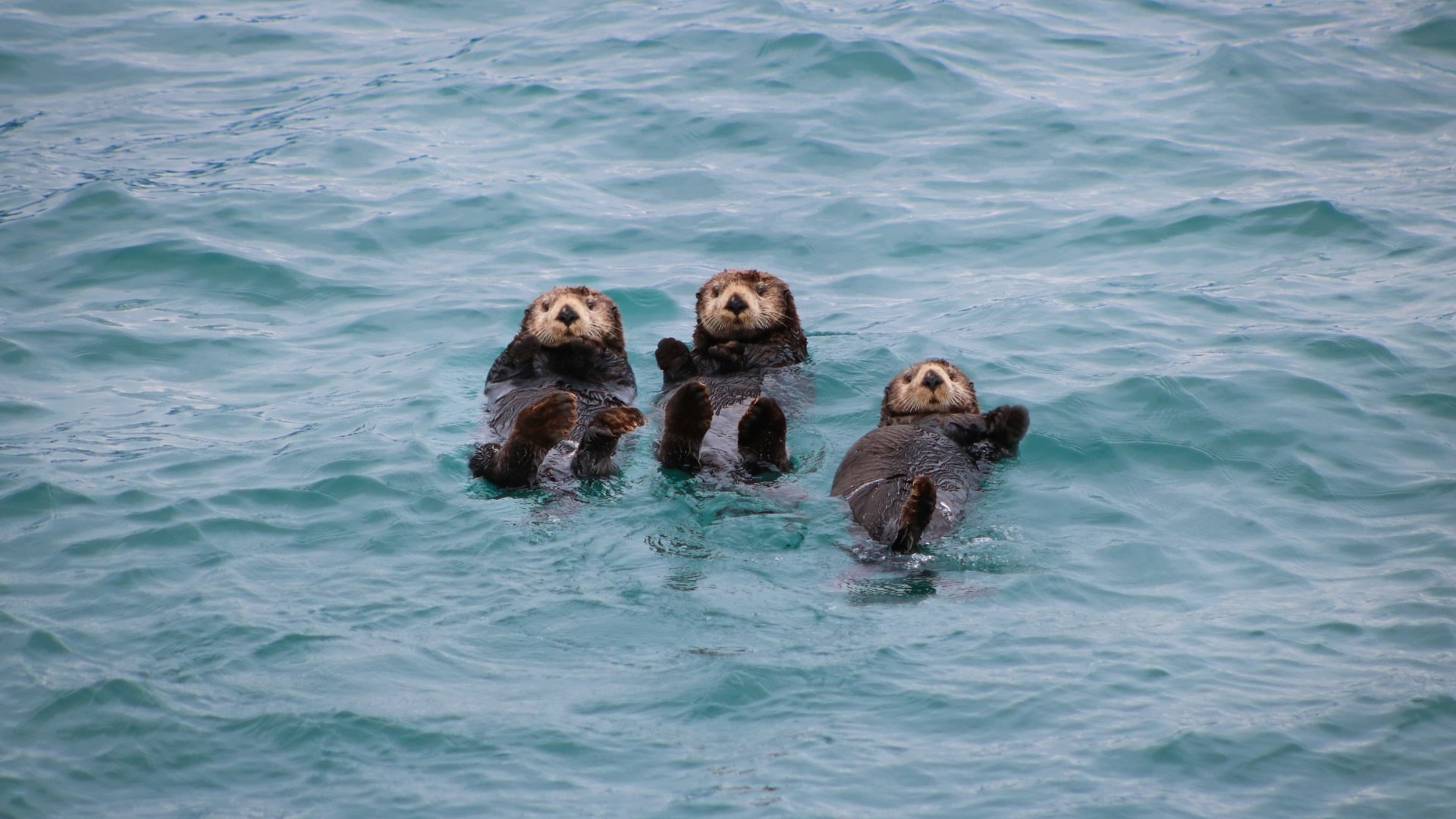 Warm durch den Winter