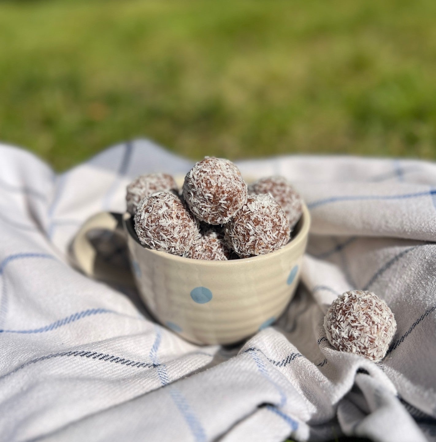 Protein Power Balls