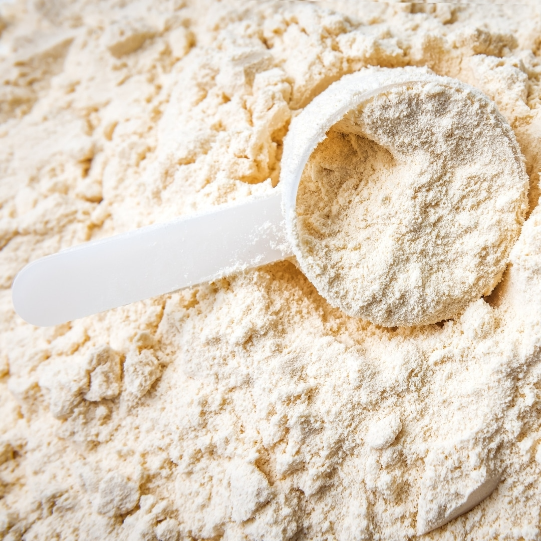 Wheycation Whey Protein Powder Nature 1000g Swiss Whey Detail