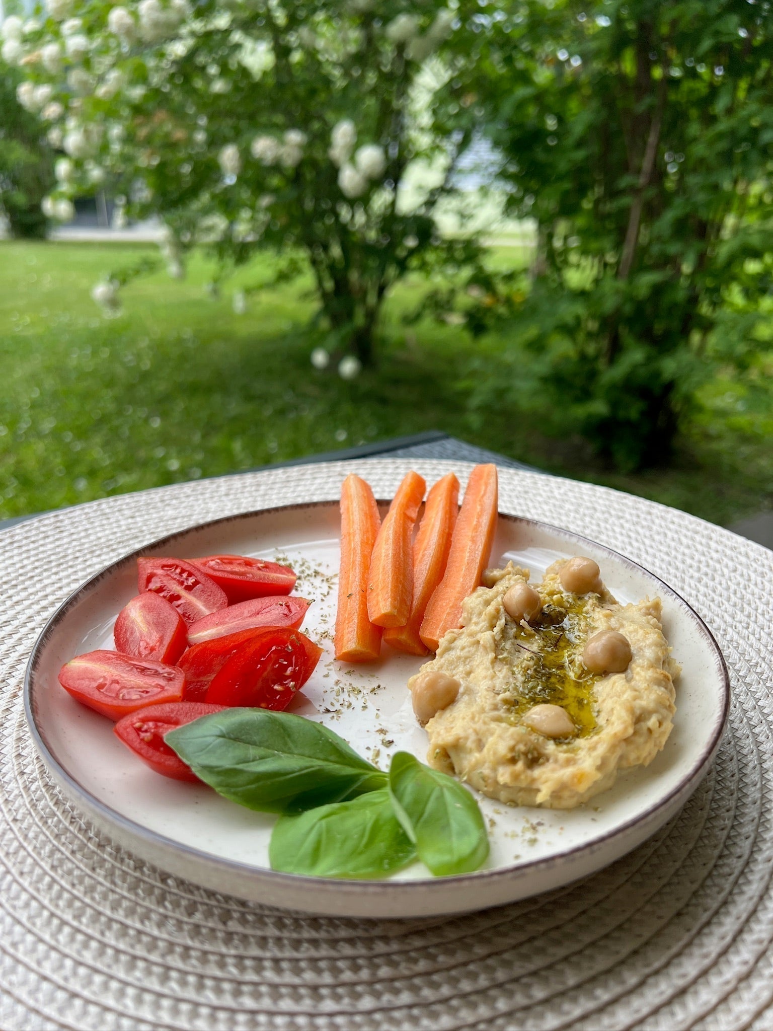 Protein Hummus mit Whey