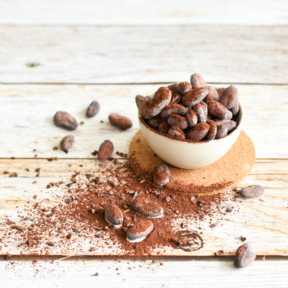 Plant-based Protein Powder Cacao 330g
