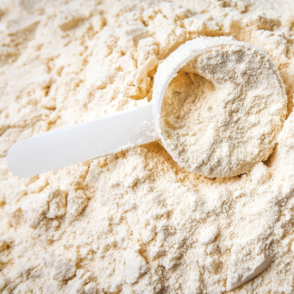 Wheycation Whey Protein Powder Nature 1000g Swiss Whey Detail